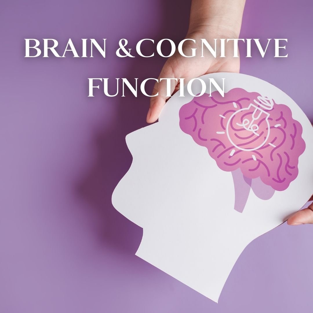 Brain & Cognitive Function - Kitch Pharmacy